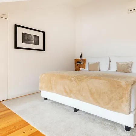 Apartment Plum Guide - Sterling Brass *
